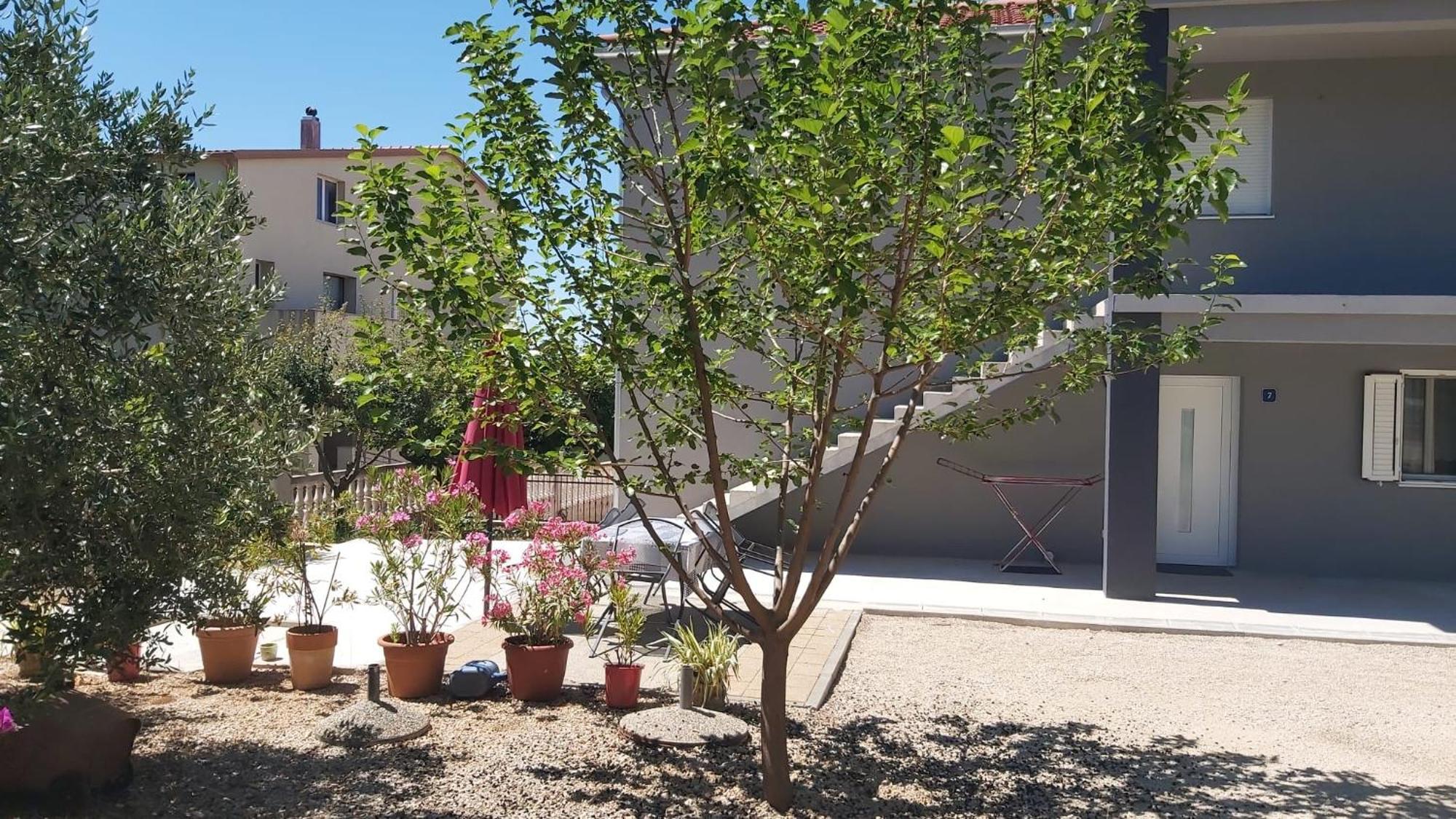 Apartments Classic#Bnm Biograd Na Moru Extérieur photo